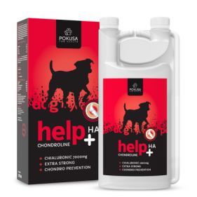 Chondroline Help + Ha 1000ml