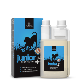 Chondroline Junior +HA 500ml